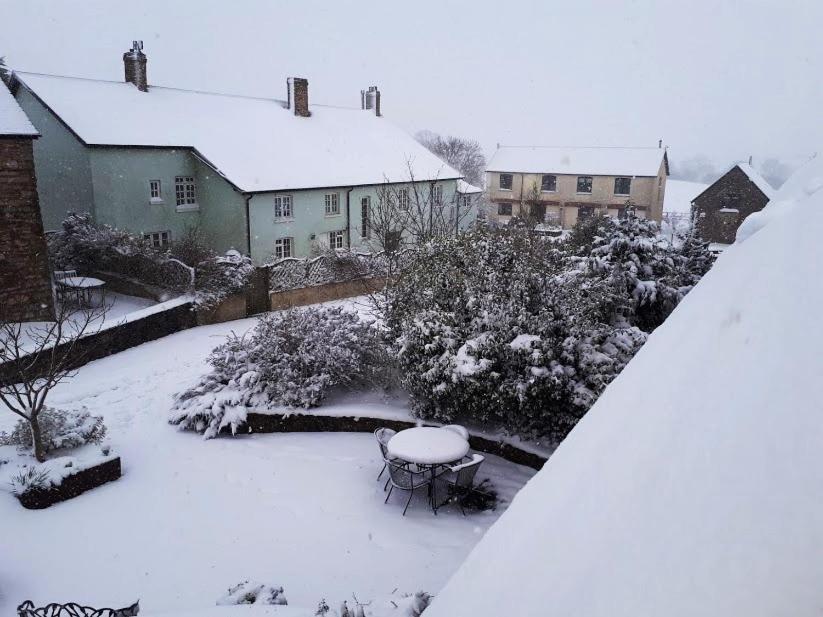 Swift Cottage Broadhempston Εξωτερικό φωτογραφία
